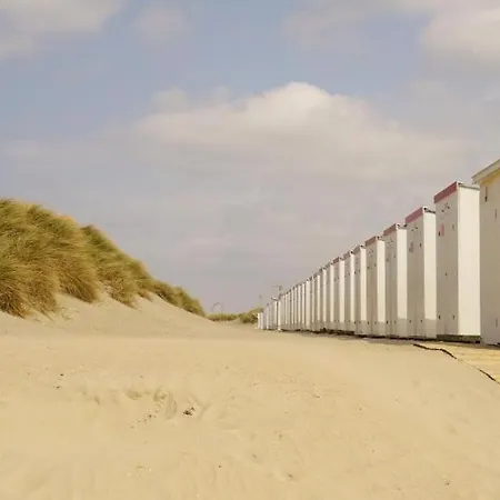 Apartment Amalia, Ontspannen Aan Zee In *