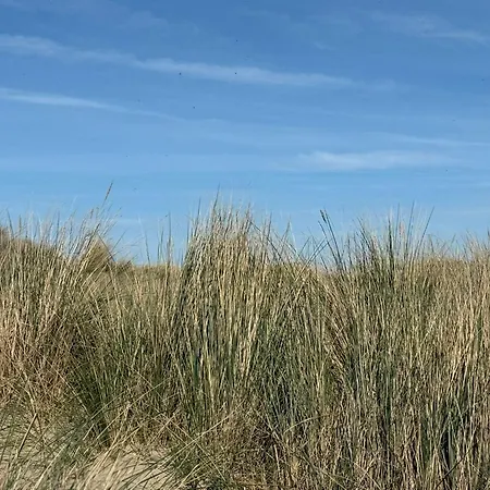 Amalia, Ontspannen Aan Zee In Apartmán Oostduinkerke